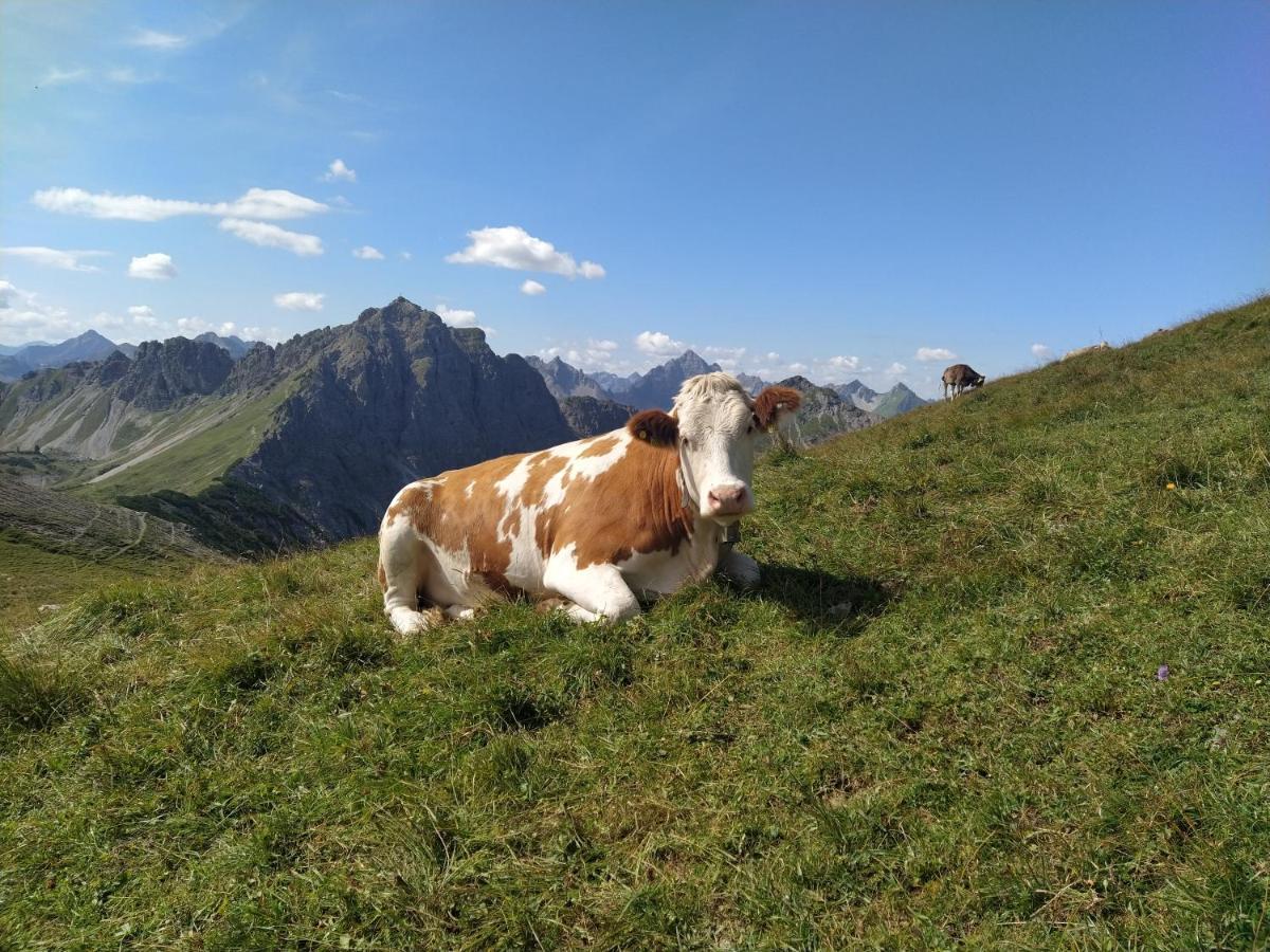 Ferienwohnung Zum Bartelt Hohenschwangau Exterior foto
