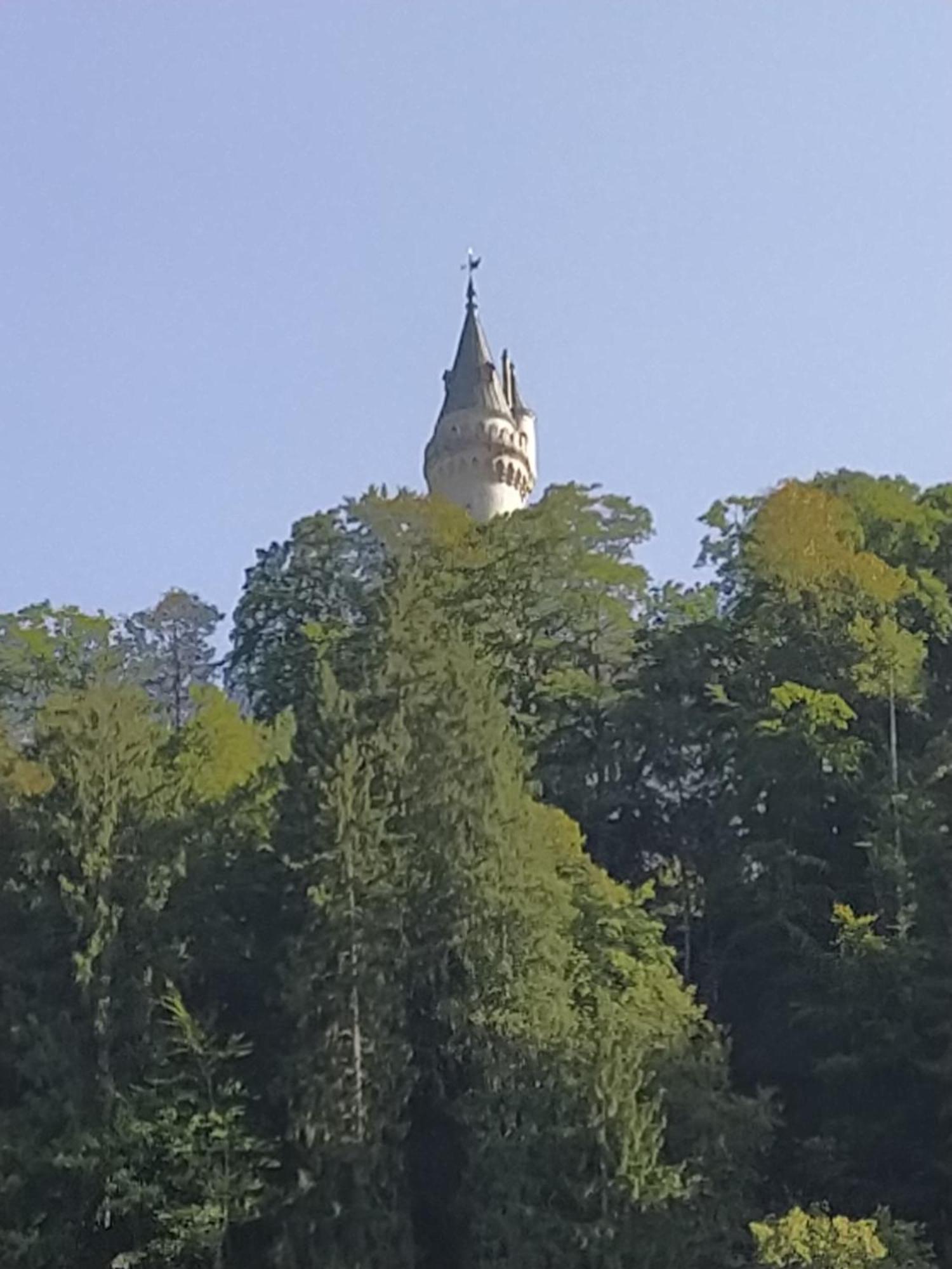 Ferienwohnung Zum Bartelt Hohenschwangau Exterior foto